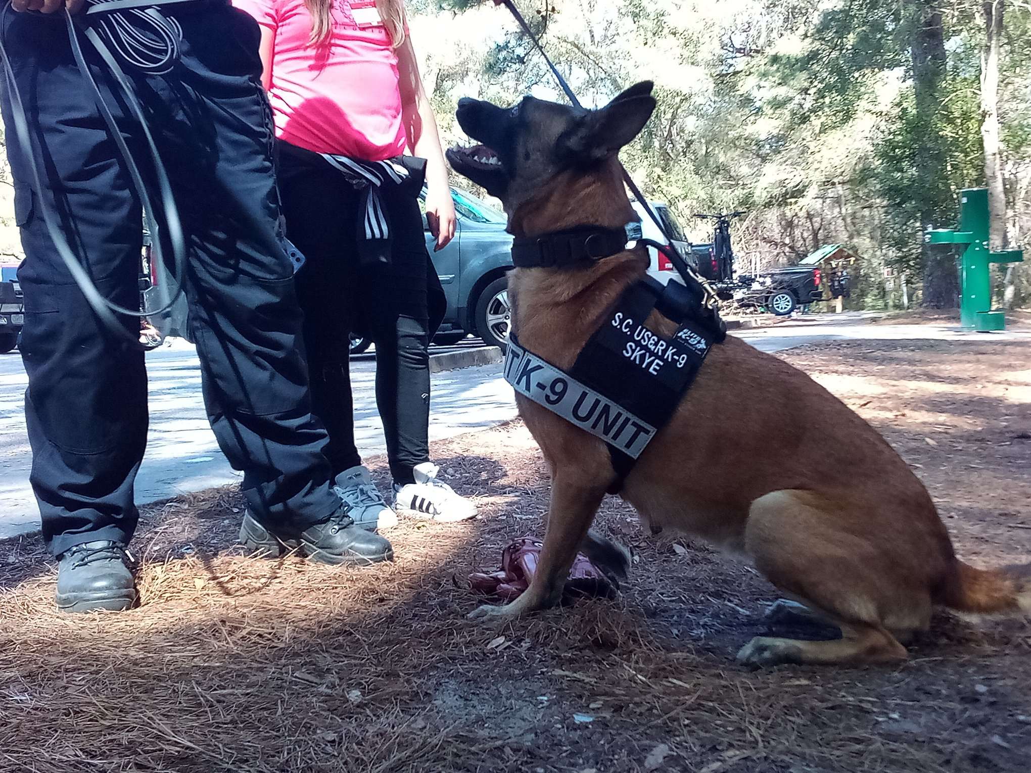 K-9 SAR