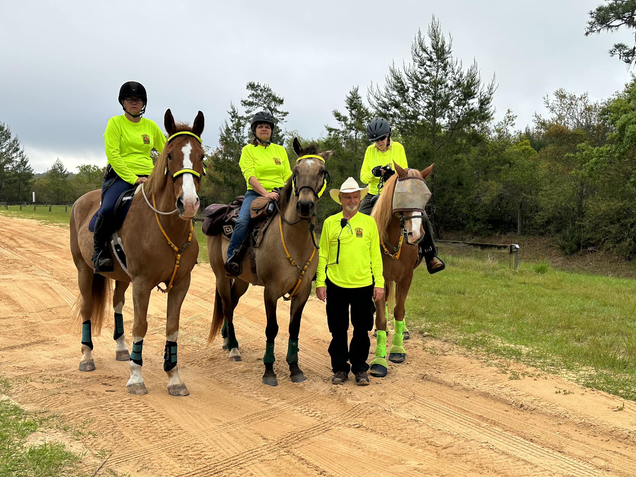 Mounted Search Team